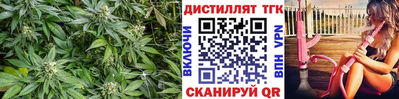 Дистиллят ТГК THC oil  где найти наркотики  Сибай 